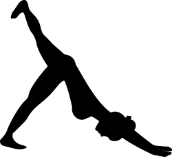 Sillouette of a woman doing a down dog yoga pose